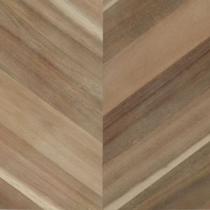 acacia chevron